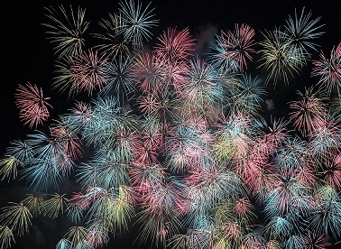 Celebrating 11 years in business!