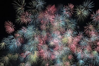 Celebrating 11 years in business!